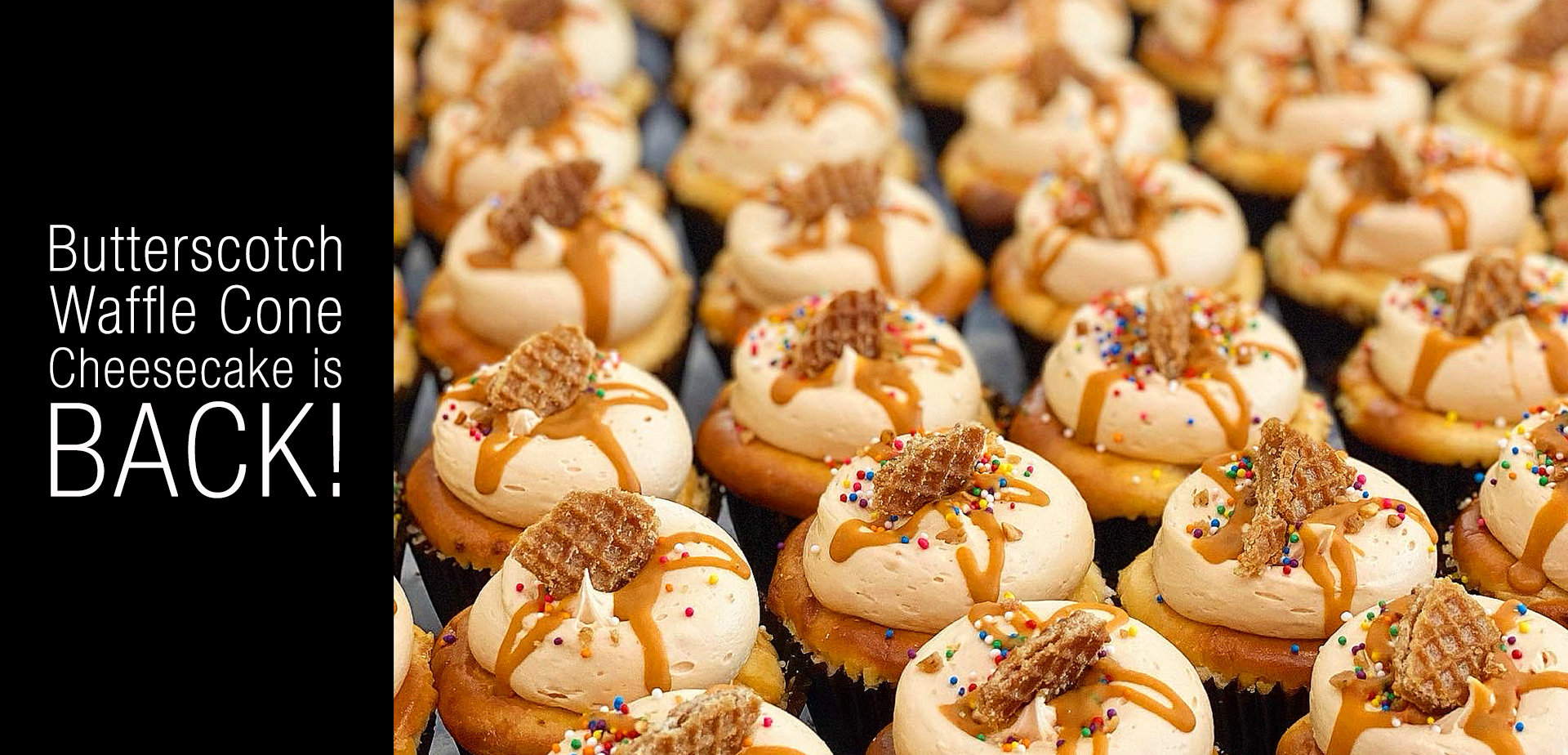 Butterscotch_Waffle_Cone_Scheesecake_Scroller.jpg