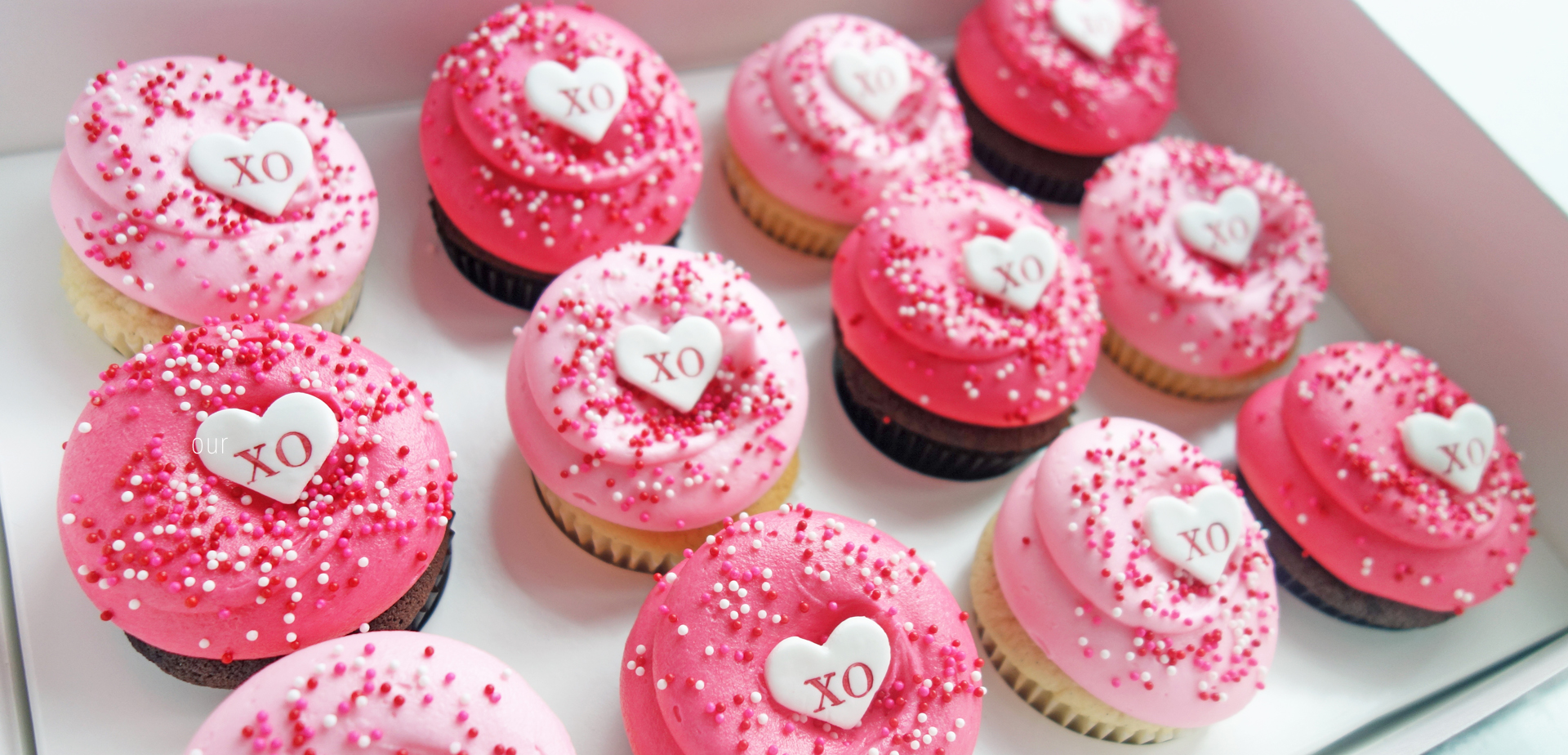 Cupcake DC Gourmet Cupcakes