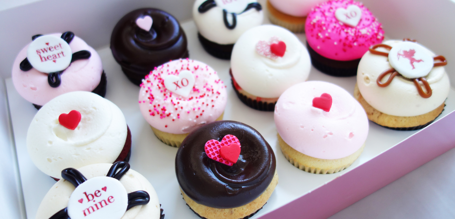 Georgetown cupcake coupon code
