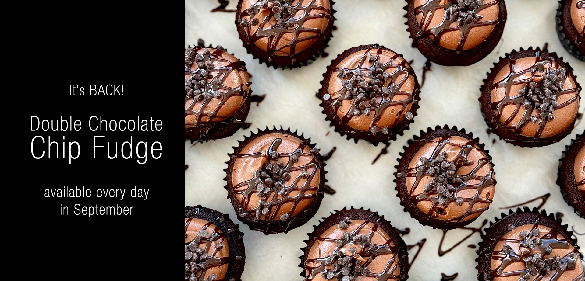 Double_Choc_Chip_Fudge_Scroller.jpg