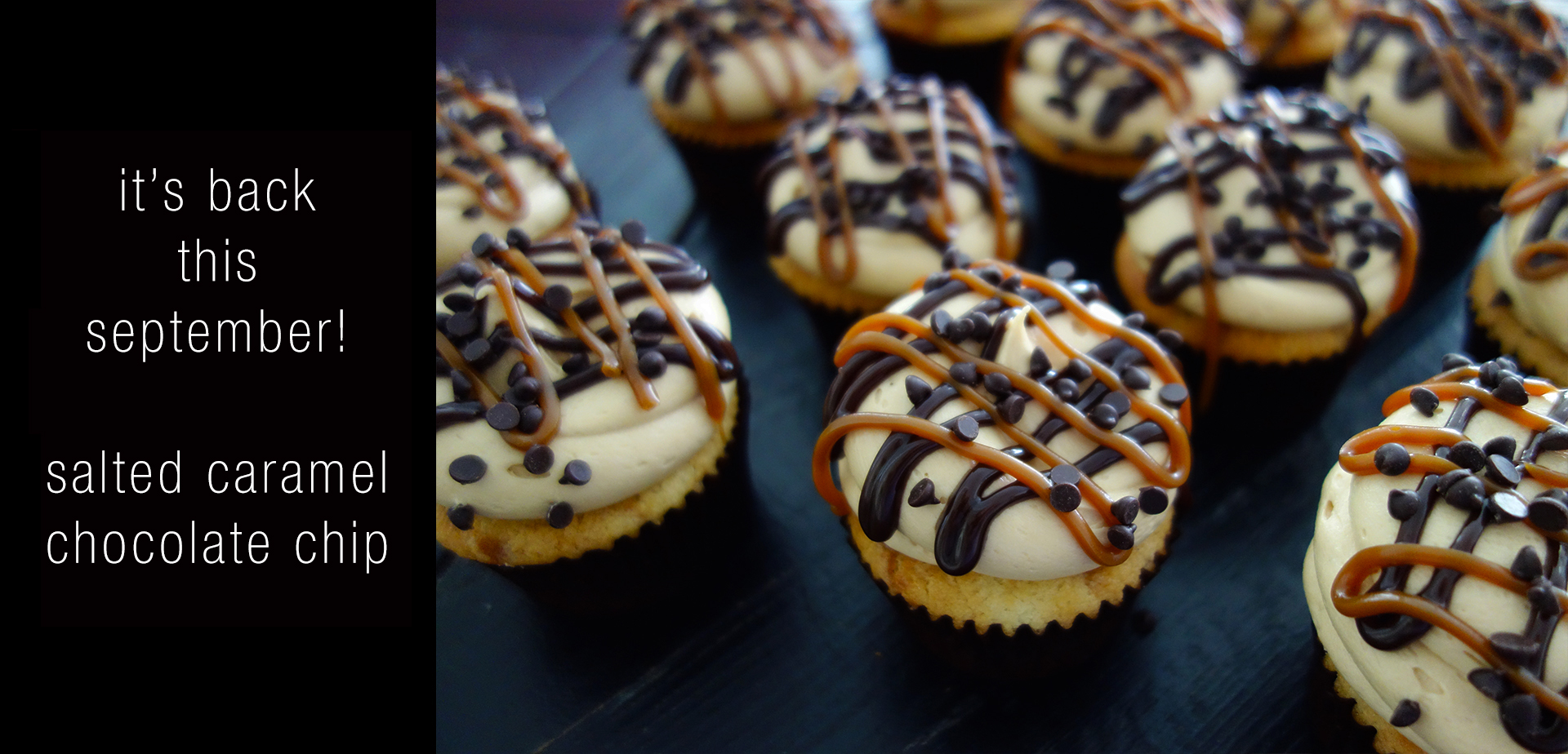 Salted_Caramel_Choc_Chip_Scroller_2023.jpg